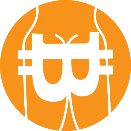 Villacoin Logo